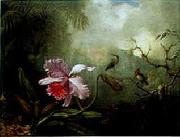 Martin Johnson Heade Cattleya Orchid Three Brazilian Hummingbirds oil painting
